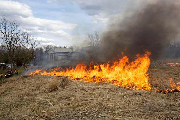 Pouvez-vous brûler des coupures d'herbe sèches