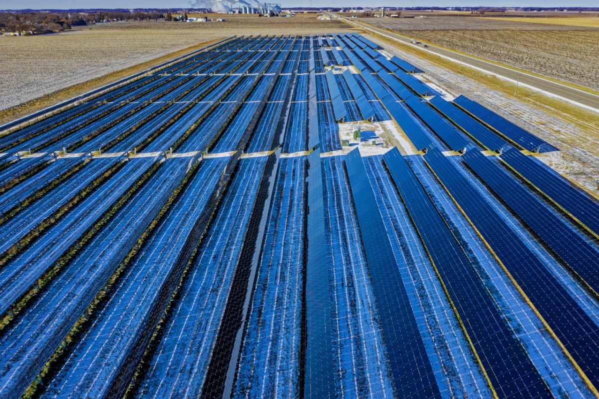 l'énergie renouvelable la plus utilisée dans le monde