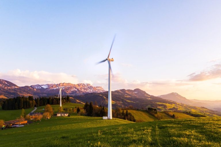 pourcentage energie renouvelable france