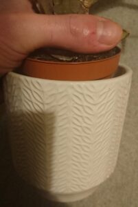Pots décoratifs sans trous de drainage à la base du pot.