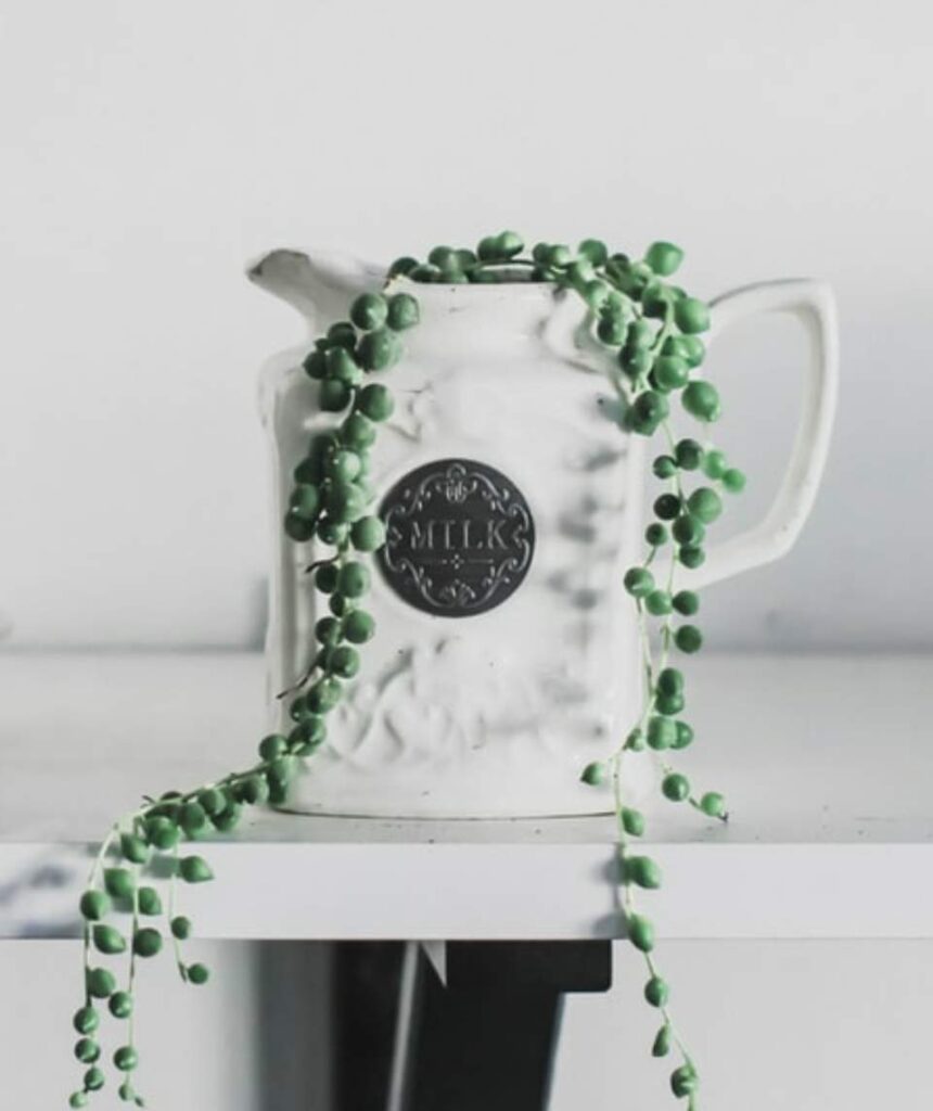 Pourquoi mon collier de perles s’assèche-t-il ?