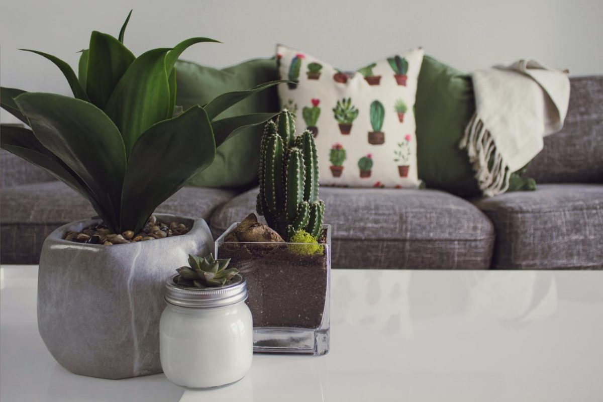 décoratrice d intérieur tarif
