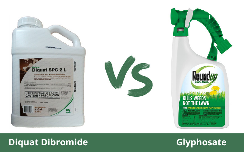 Dibromure de diquat vs Glyphosate