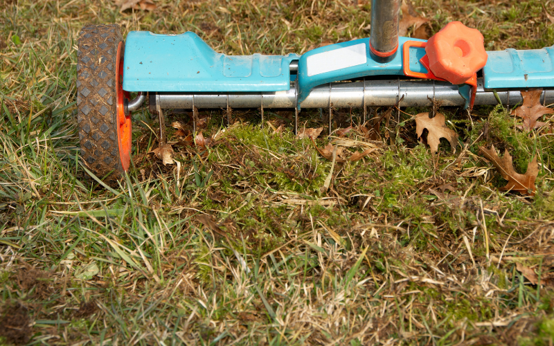 Que faire après l'aération de votre pelouse