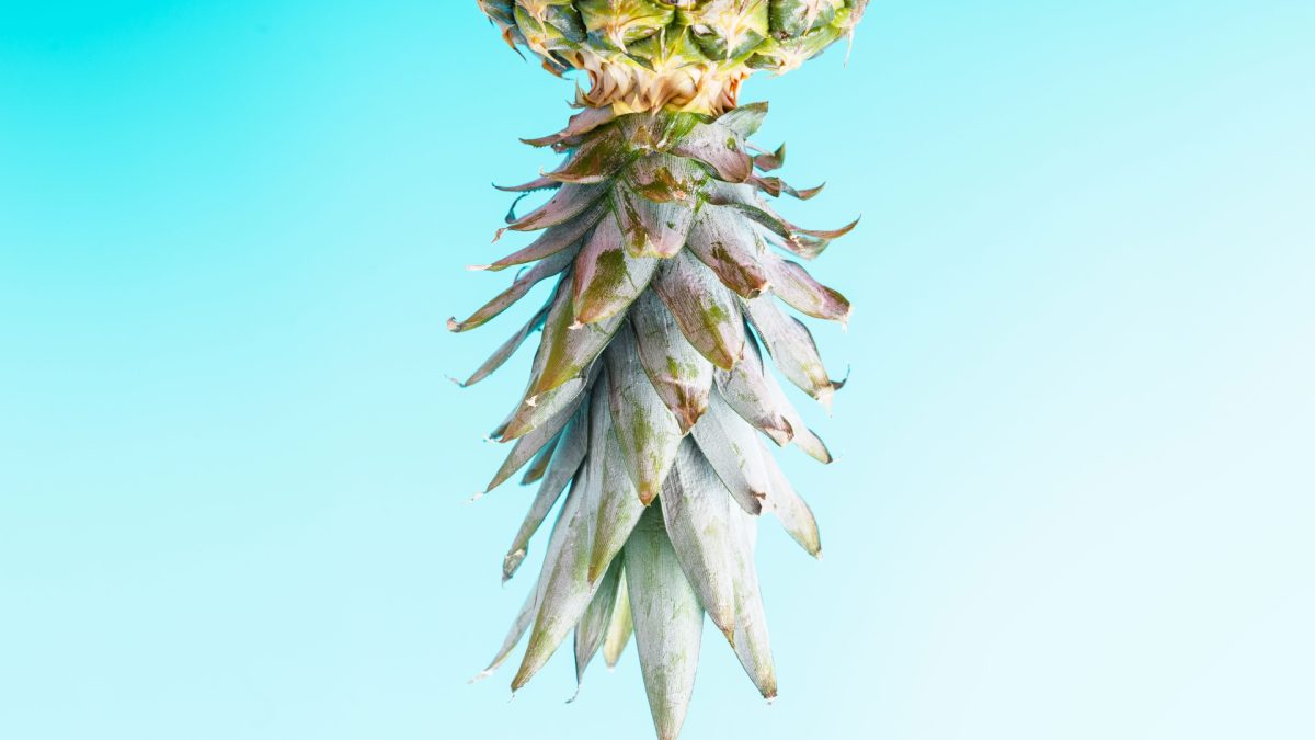Que signifie un ananas sur le porche ?