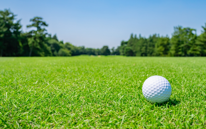 Quel est le meilleur gazon pour les greens de golf ?