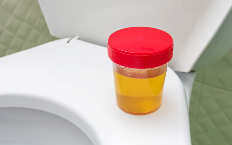 L'urine humaine peut-elle tuer l'herbe et les mauvaises herbes ?