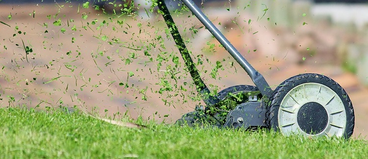 à quelle fréquence dois-je tondre ma pelouse ?