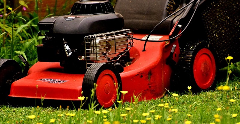 Déterminer si une tondeuse à roues hautes ou à roues basses est le bon choix pour votre pelouse