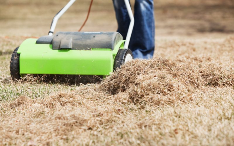 Comment savoir si votre pelouse a besoin d'être dépoussiérée