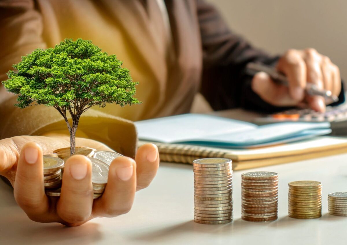 Maximiser votre investissement : ce que rapportent 200 m2 de panneaux solaires