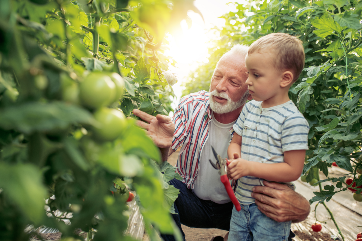 enfant et grand pere au jardin