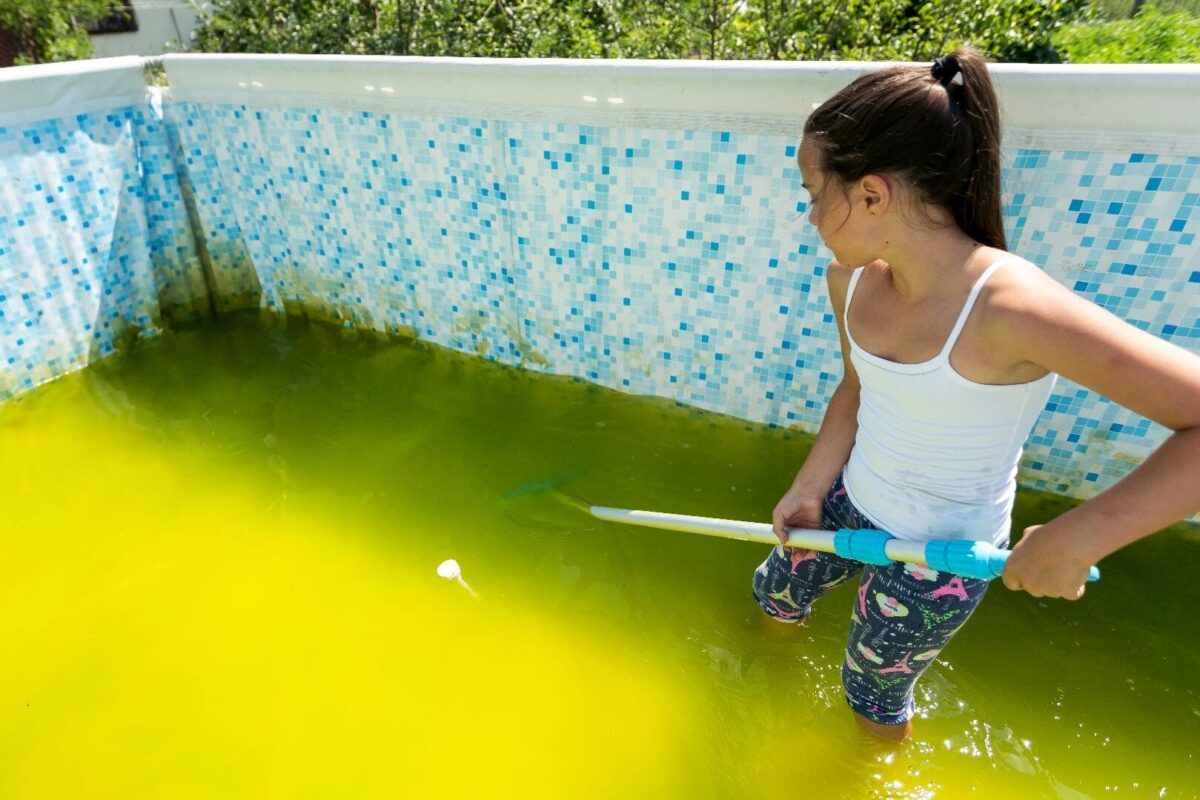 Eau de piscine verte : le remède de grand-mère pour la récupérer