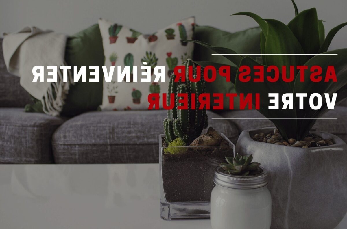 Réinventer votre Espace: Astuces et Conseils pour la Décoration de votre Appartement