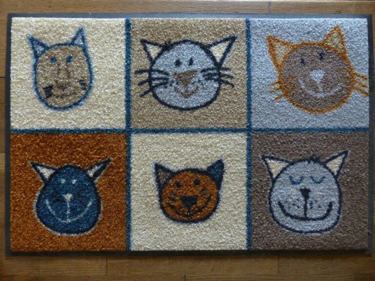 paillasson chat