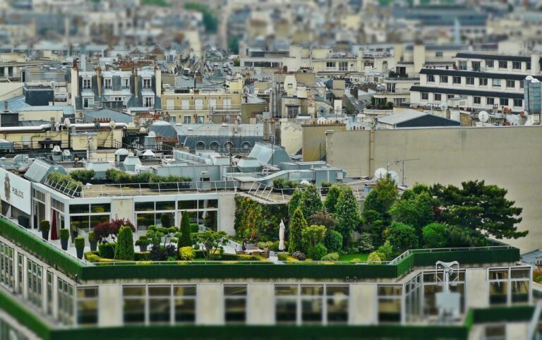 La permaculture en milieu urbain
