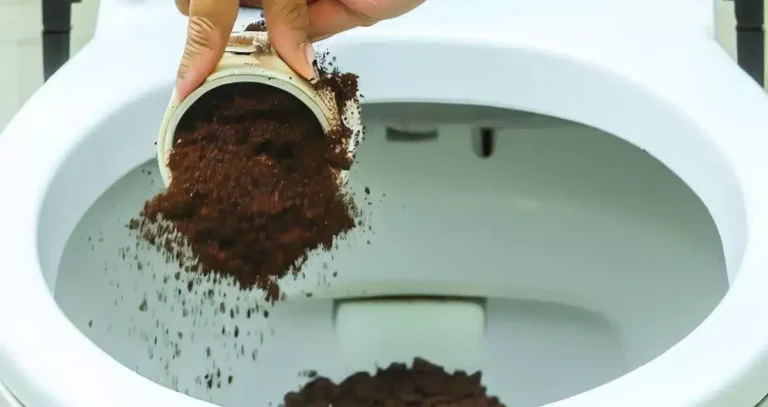 Marc de café dans les toilettes : est-ce une bonne idée pour vos canalisations ?