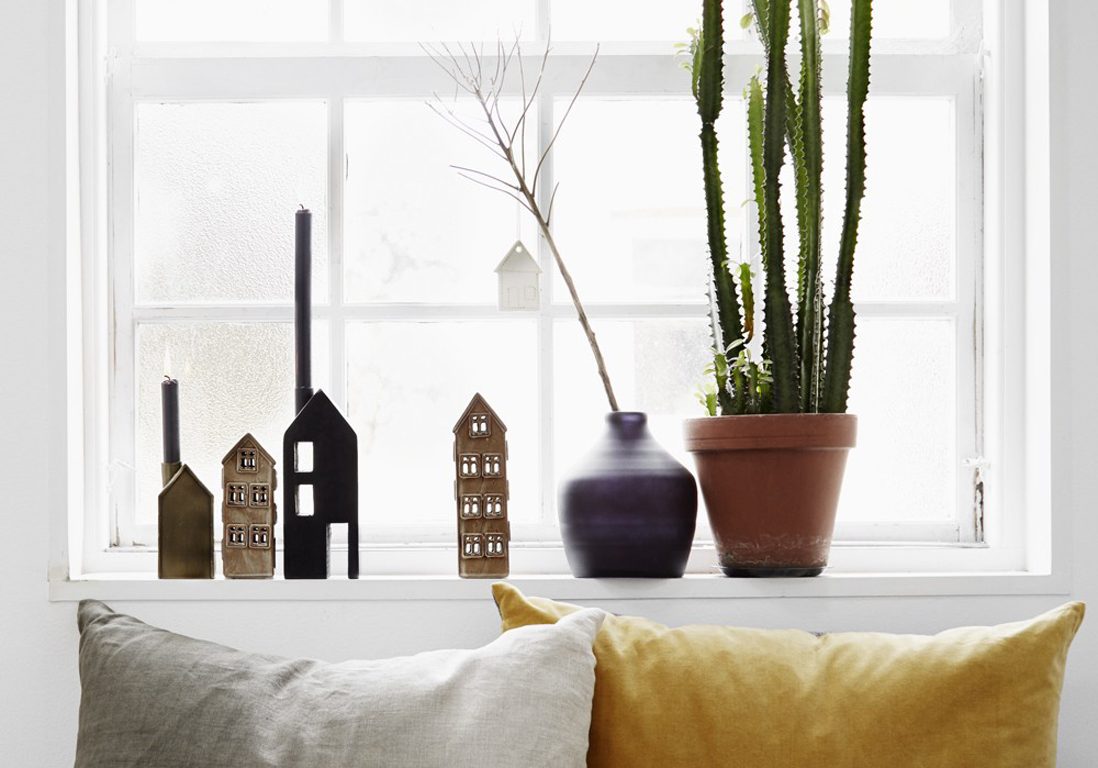 Plantes dépolluantes pour un intérieur sain