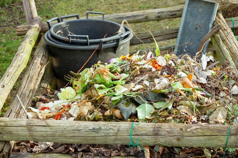 Réaliser un compost : erreurs à éviter