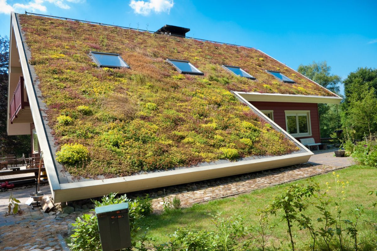 Toiture verte : avantages et installation