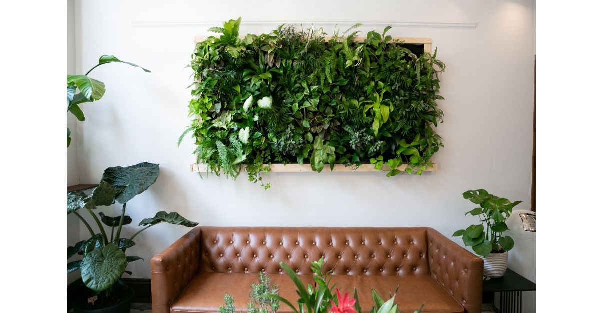 Comment installer un mur végétal intérieur pour créer une oasis chez soi ?