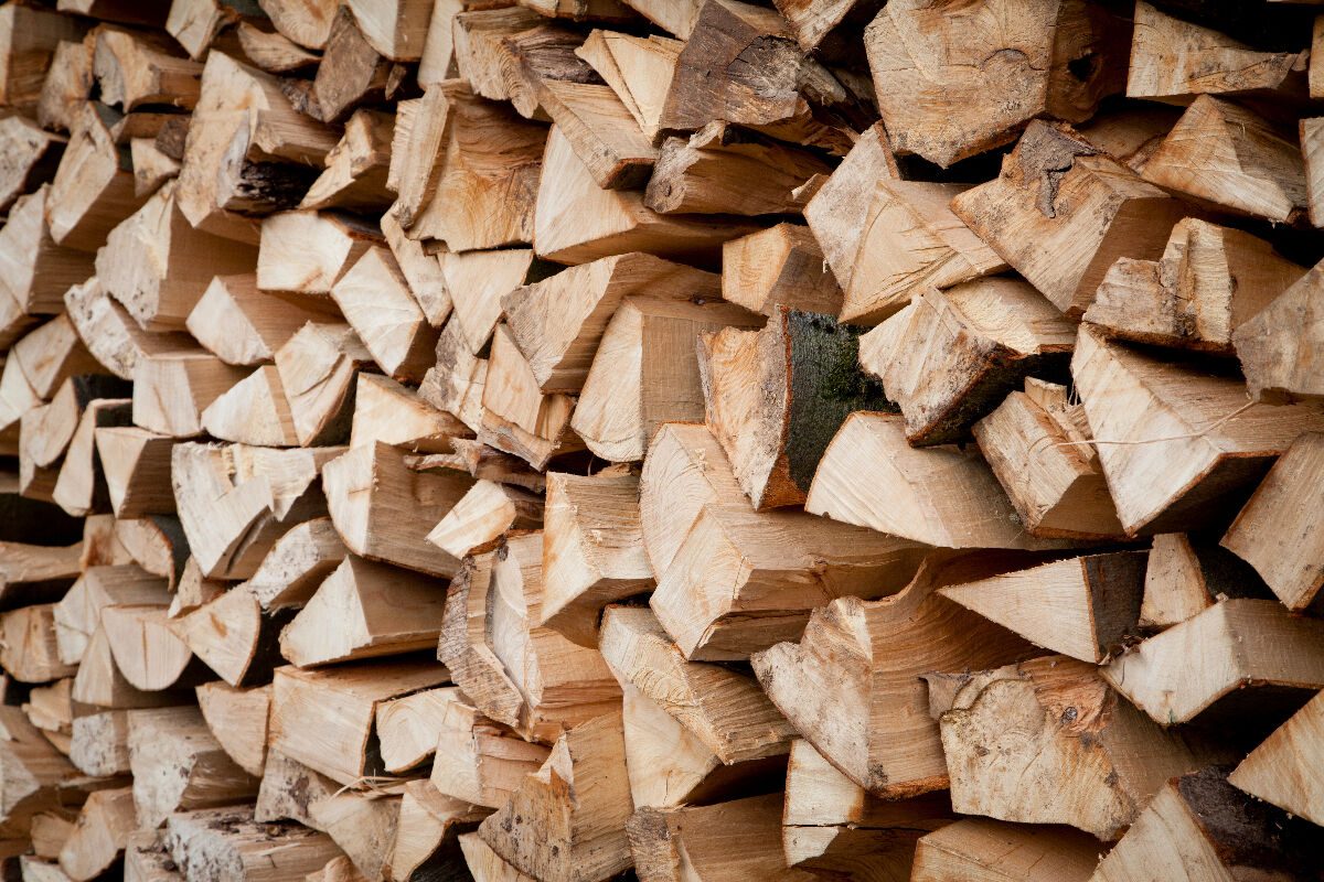 Quel est le prix actuel d'une stère de bois coupé en 50 cm ?