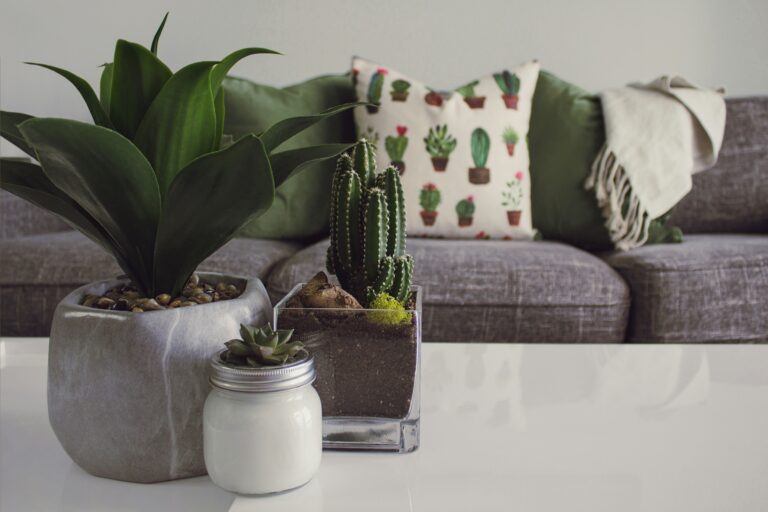découvrez des idées de décoration pour transformer votre intérieur avec style et harmonie.