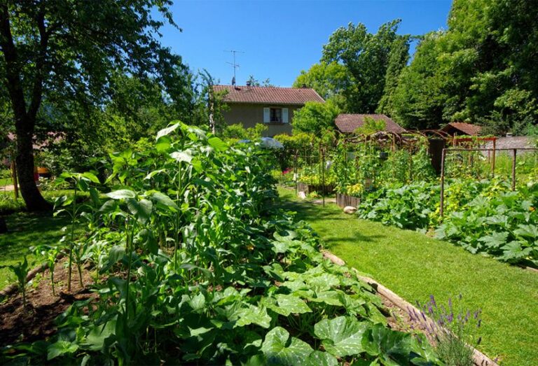 Comment débuter en permaculture chez soi ?