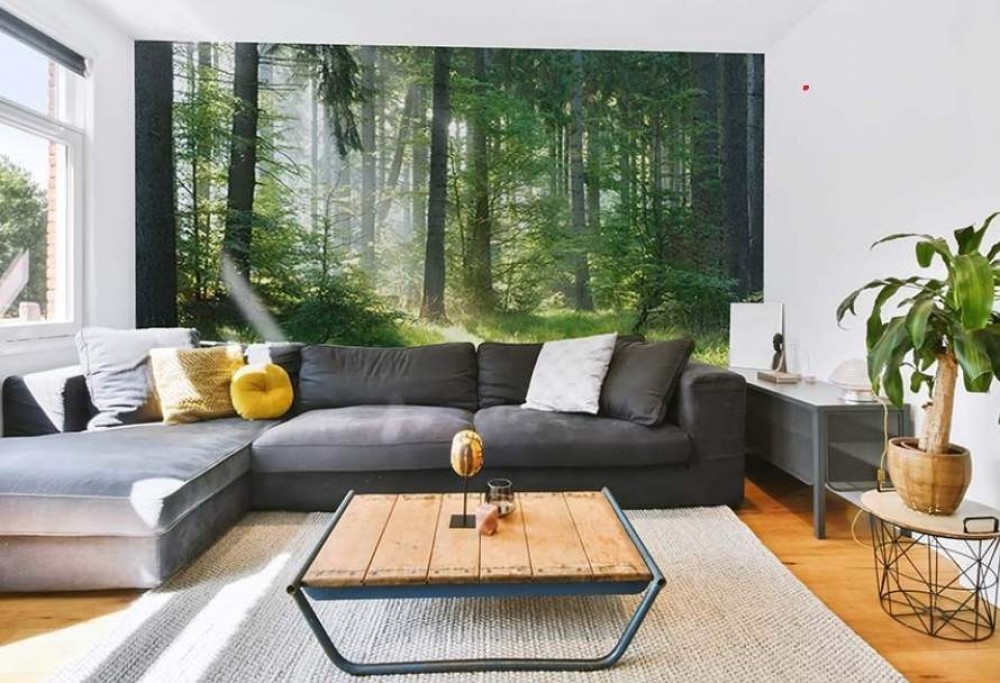 Comment choisir le parfait papier peint scandinave pour votre salon ?