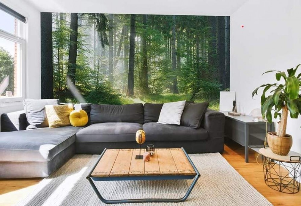 Comment choisir la décoration de votre salon moderne pour une transformation spectaculaire ?