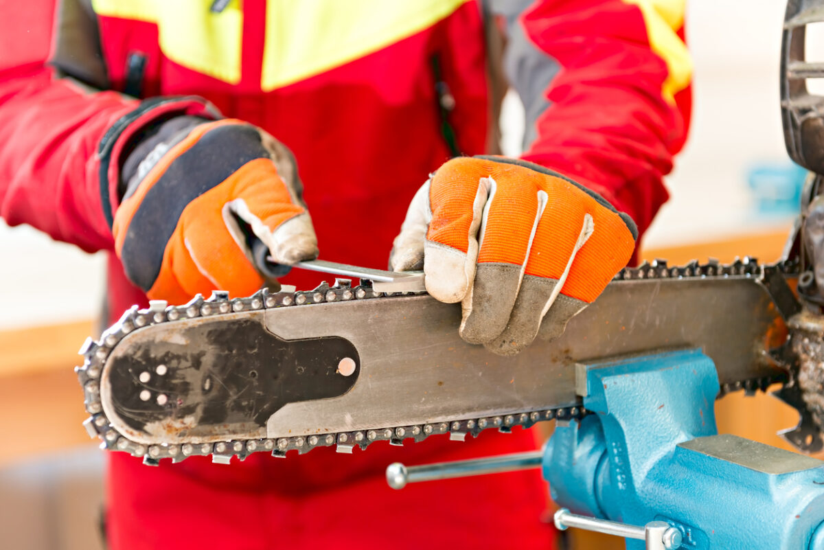 Les différentes chaînes de tronçonneuse : quelle est la meilleure pour vos travaux ?