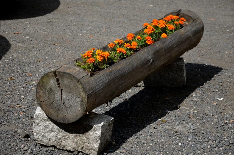 Comment transformer une souche d'arbre en élément déco pour votre jardin ?