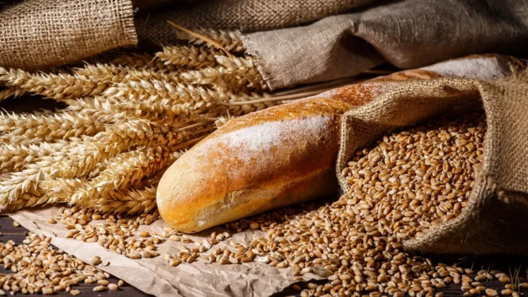 Comment utiliser les grains de blé dans votre alimentation quotidienne ?