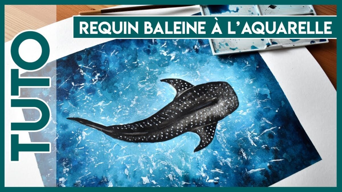 Comment peindre un requin ?