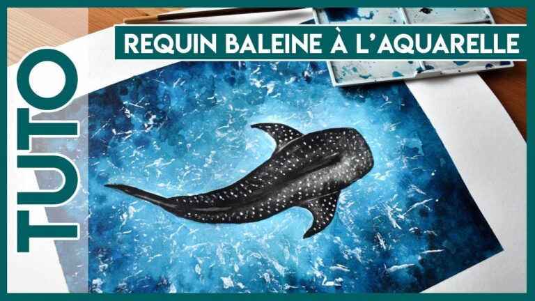 Comment peindre un requin ?