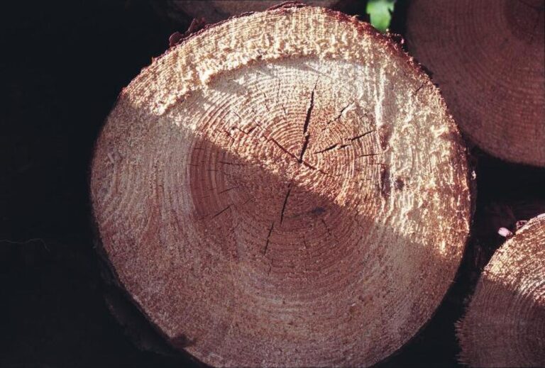 Pénurie de granulés de bois : comment surmonter la crise et se chauffer efficacement ?