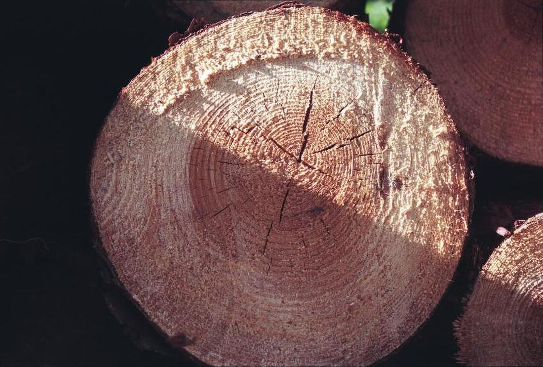 Pénurie de granulés de bois : comment surmonter la crise et se chauffer efficacement ?