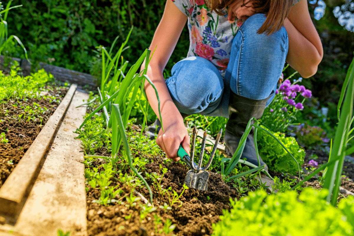 Commentaire bien utiliser le desherbeur thermique lidl pour un jardin impeccable?