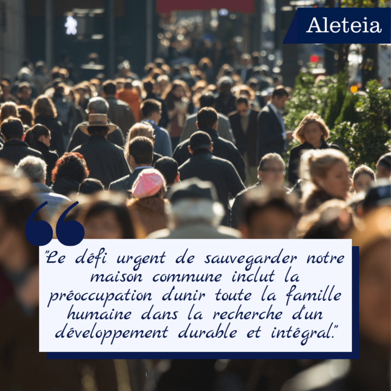 Montage visuel de citations du pape François sur l’environnement et le développement durable