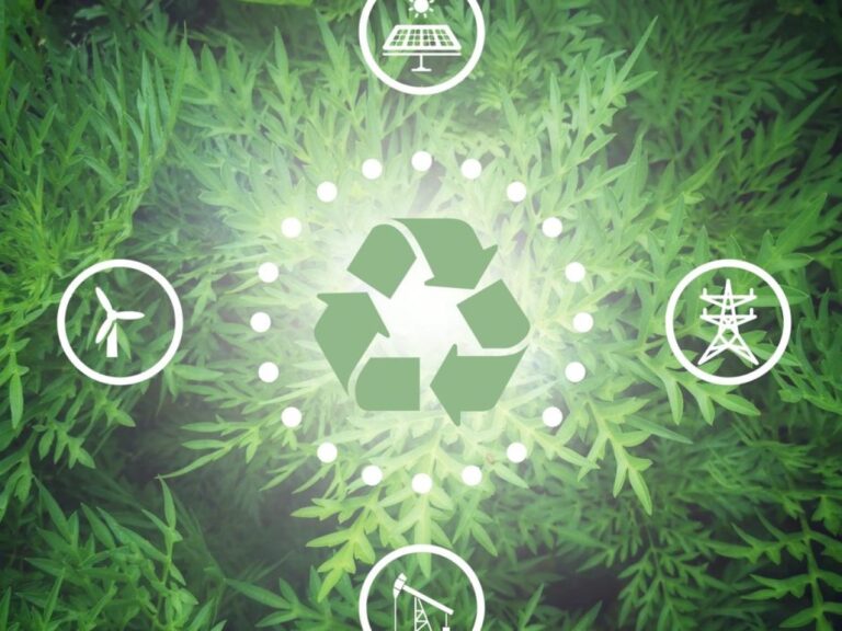 Jeunes professionnels travaillant dans des métiers du développement durable en 2023