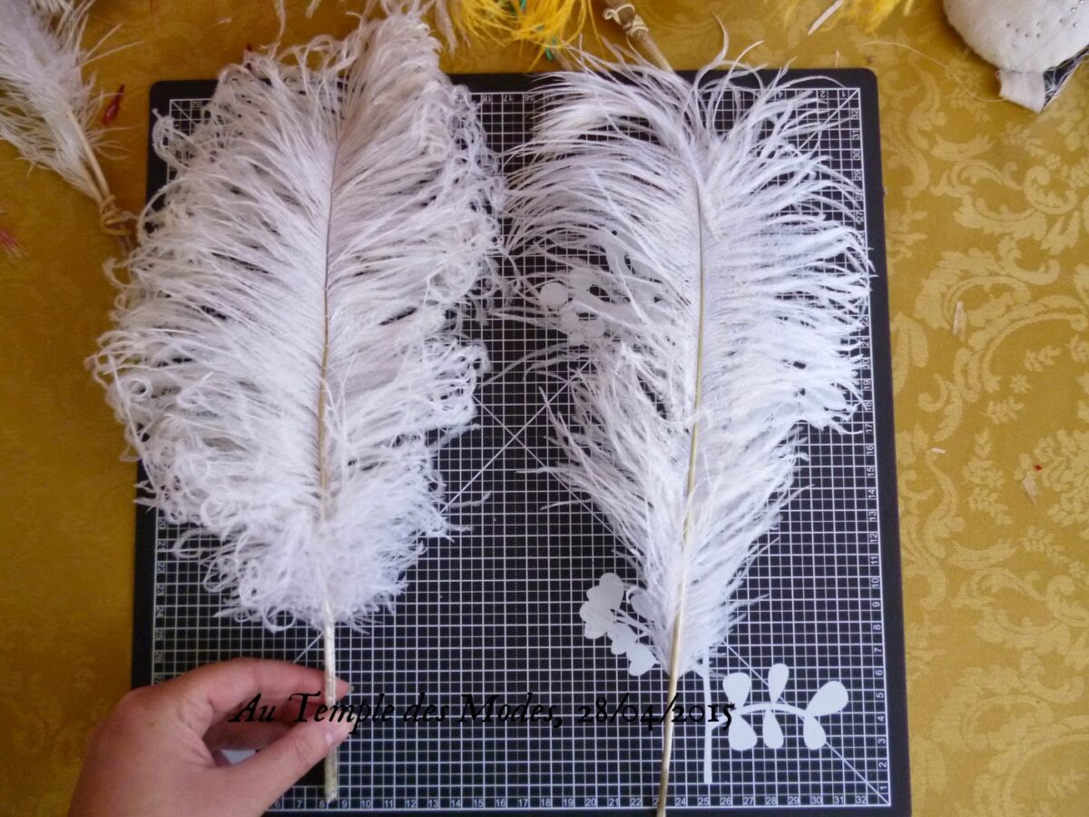 Commentaire Travailleur Les Plumes?