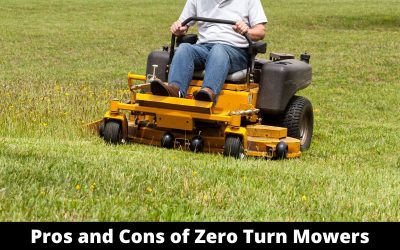 Pros_and_Cons_of_Zero_Turn_Mowers.png.jpg