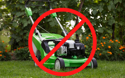 How-to-Cut-Grass-Without-a-Lawn-Mower.png