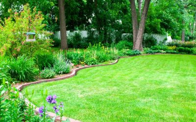 How_to_Prevent_Grass_from_Growing_in_Flower_Beds.jpg
