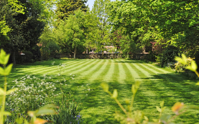How-to-Stripe-Lawn-without-Roller.png