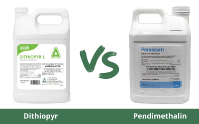 Dithiopyr-vs-Pendimethalin.png
