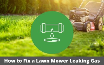 Lawn_Mower_Leaking_Gas.png.jpg