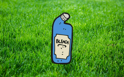 Does-Bleach-Kill-Grass.png