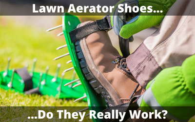 Do-Lawn-Aerator-Shoes-Work.png