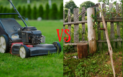 Lawn-Mower-vs-Scythe.png